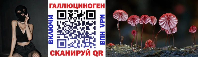купить  цена  Калининск  Галлюциногенные грибы Psilocybine cubensis 